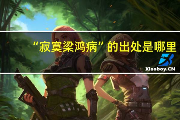 “寂寞梁鸿病”的出处是哪里