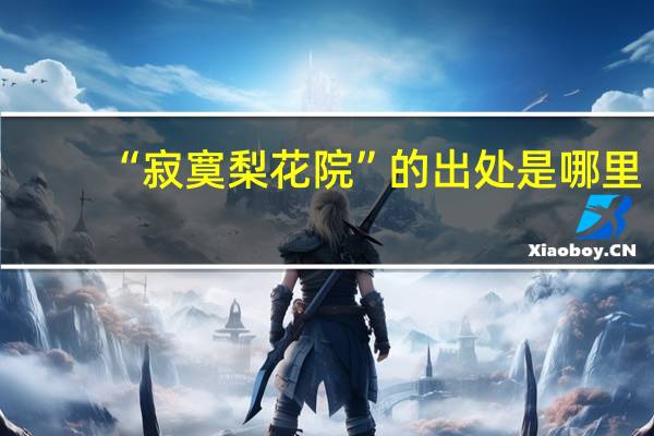 “寂寞梨花院”的出处是哪里