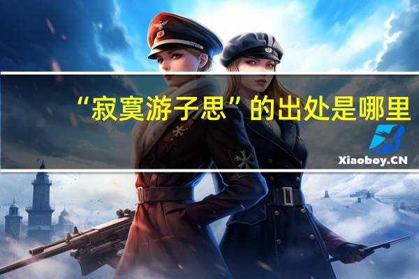 “寂寞游子思”的出处是哪里