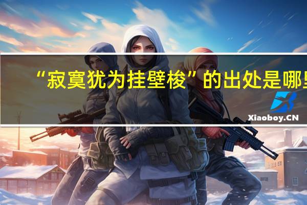 “寂寞犹为挂壁梭”的出处是哪里