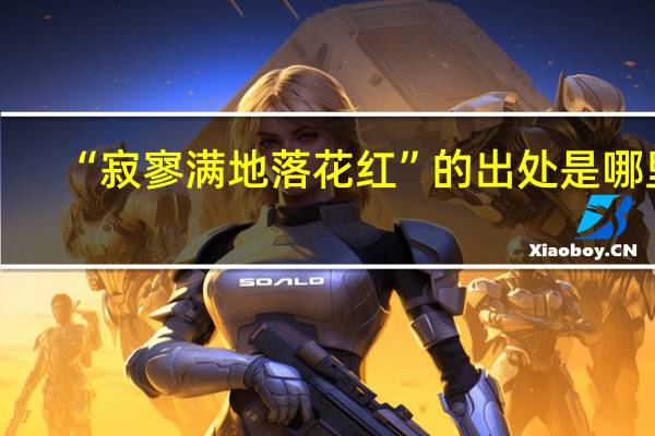 “寂寥满地落花红”的出处是哪里
