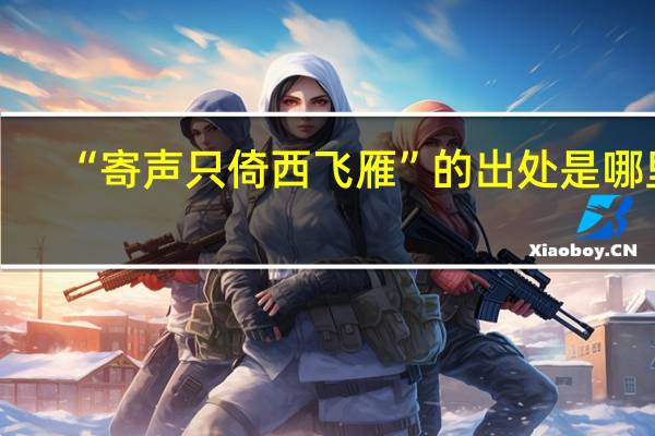 “寄声只倚西飞雁”的出处是哪里