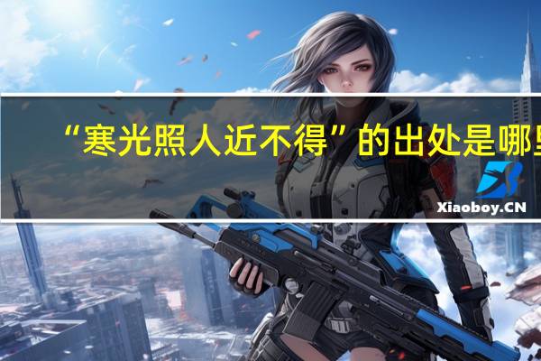 “寒光照人近不得”的出处是哪里