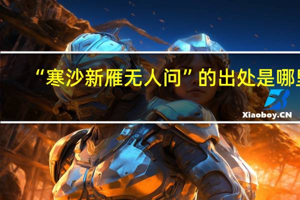 “寒沙新雁无人问”的出处是哪里