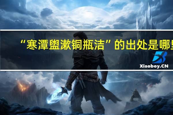 “寒潭盥漱铜瓶洁”的出处是哪里