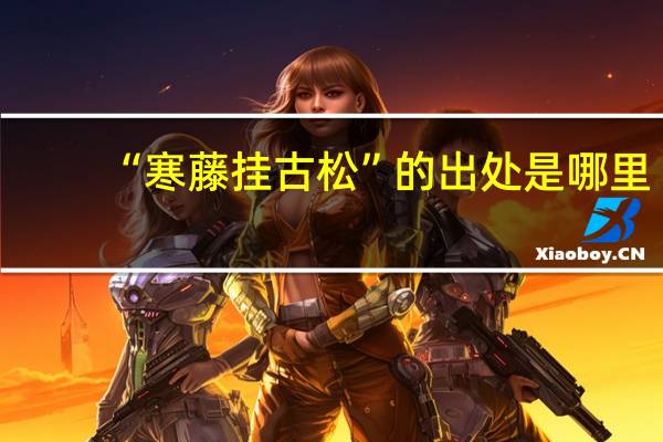“寒藤挂古松”的出处是哪里