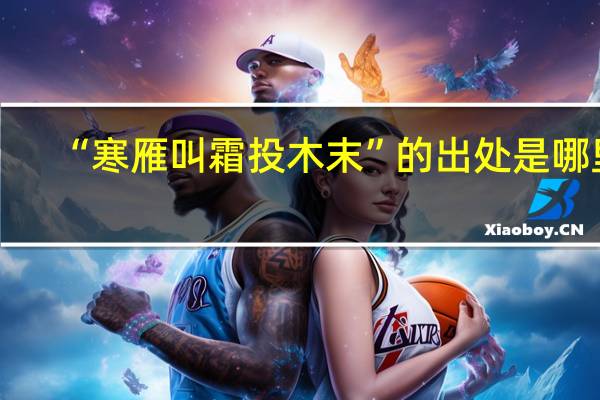 “寒雁叫霜投木末”的出处是哪里