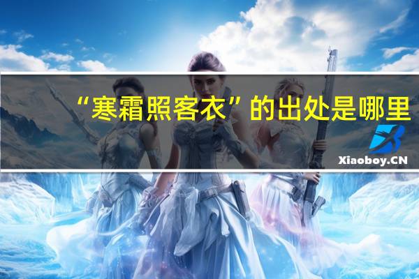 “寒霜照客衣”的出处是哪里