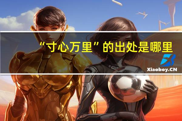 “寸心万里”的出处是哪里