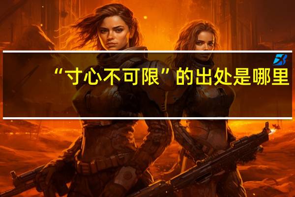 “寸心不可限”的出处是哪里