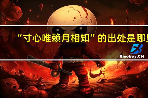 “寸心唯赖月相知”的出处是哪里