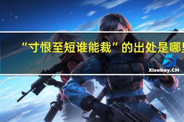 “寸恨至短谁能裁”的出处是哪里