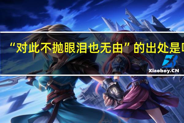 “对此不抛眼泪也无由”的出处是哪里