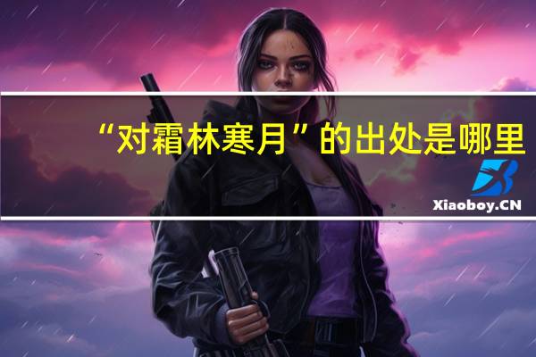 “对霜林寒月”的出处是哪里