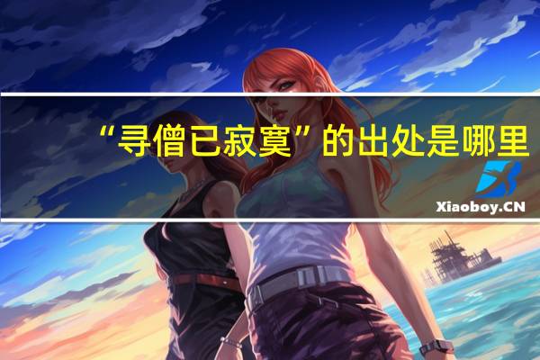 “寻僧已寂寞”的出处是哪里