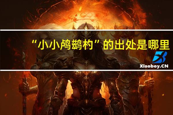 “小小鸬鹚杓”的出处是哪里