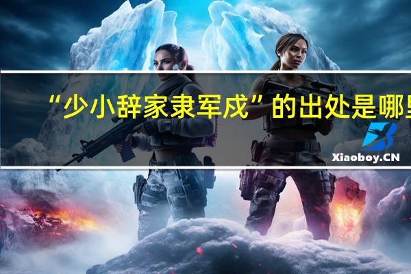 “少小辞家隶军戍”的出处是哪里