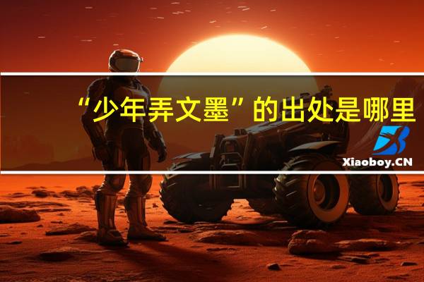 “少年弄文墨”的出处是哪里