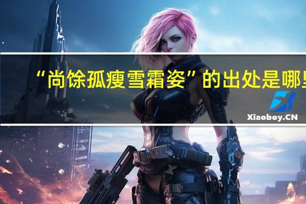 “尚馀孤瘦雪霜姿”的出处是哪里