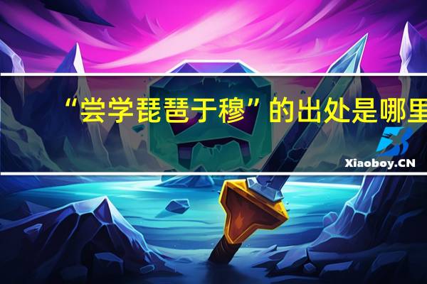 “尝学琵琶于穆”的出处是哪里
