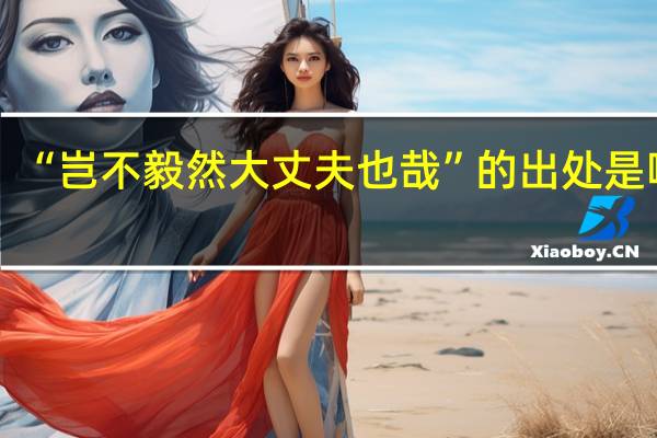“岂不毅然大丈夫也哉”的出处是哪里