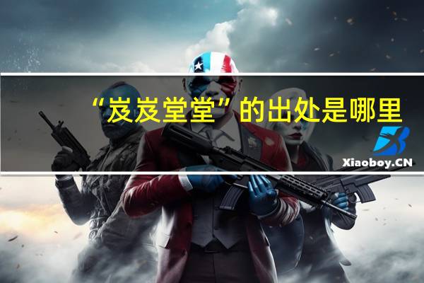 “岌岌堂堂”的出处是哪里