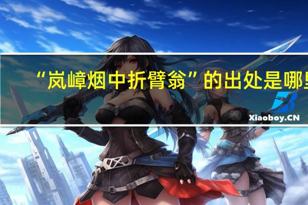 “岚嶂烟中折臂翁”的出处是哪里