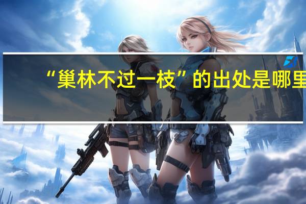 “巢林不过一枝”的出处是哪里