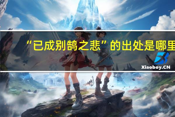 “已成别鹄之悲”的出处是哪里