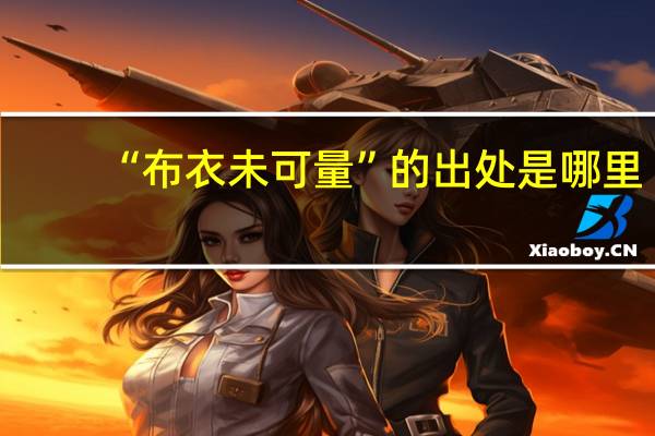 “布衣未可量”的出处是哪里