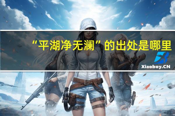 “平湖净无澜”的出处是哪里