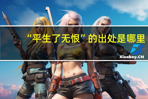 “平生了无恨”的出处是哪里