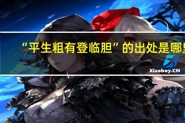 “平生粗有登临胆”的出处是哪里