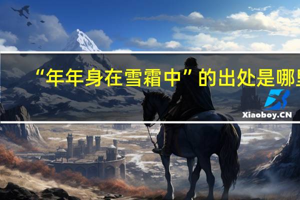 “年年身在雪霜中”的出处是哪里