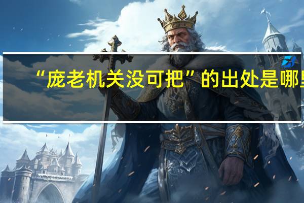 “庞老机关没可把”的出处是哪里