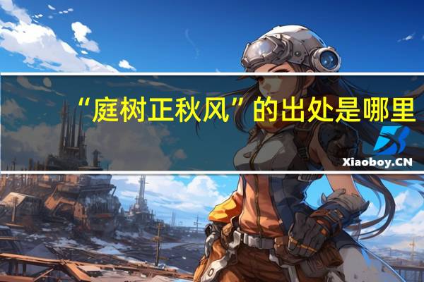 “庭树正秋风”的出处是哪里