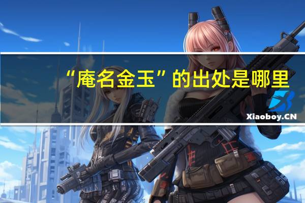 “庵名金玉”的出处是哪里