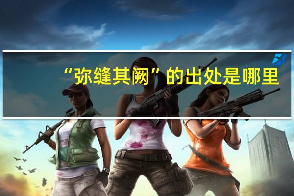 “弥缝其阙”的出处是哪里