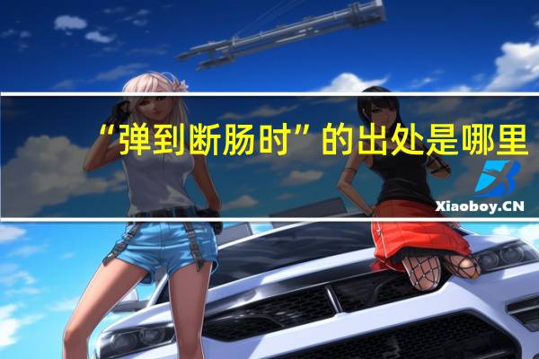 “弹到断肠时”的出处是哪里