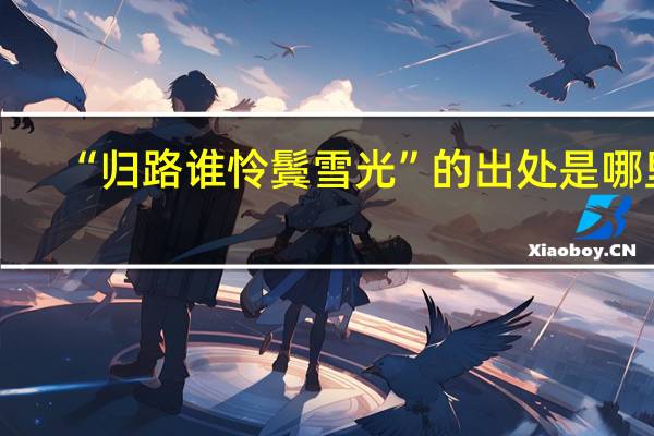 “归路谁怜鬓雪光”的出处是哪里