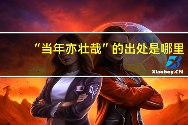 “当年亦壮哉”的出处是哪里