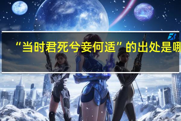 “当时君死兮妾何适”的出处是哪里