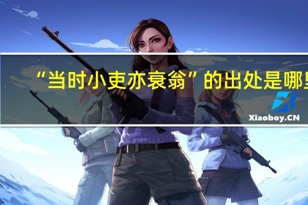 “当时小吏亦衰翁”的出处是哪里