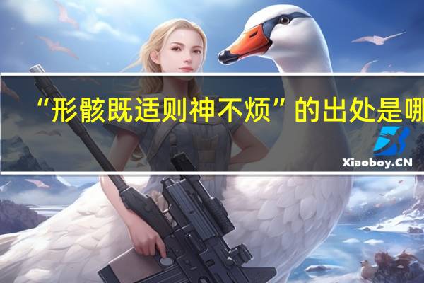 “形骸既适则神不烦”的出处是哪里