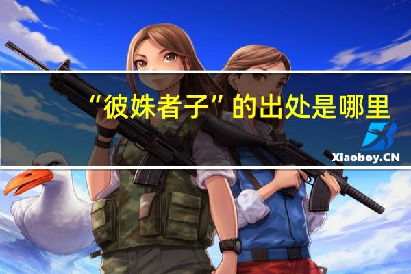 “彼姝者子”的出处是哪里