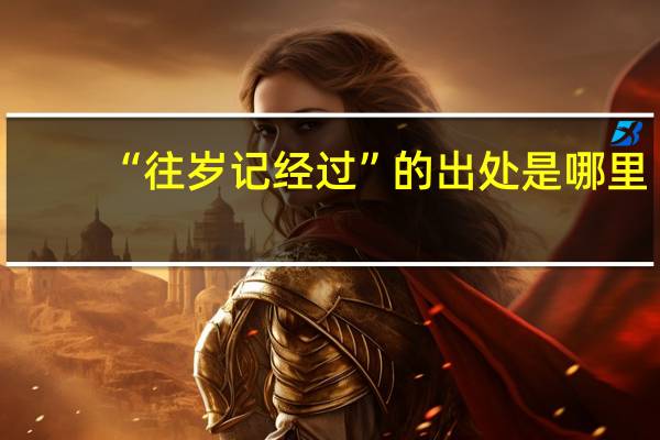“往岁记经过”的出处是哪里