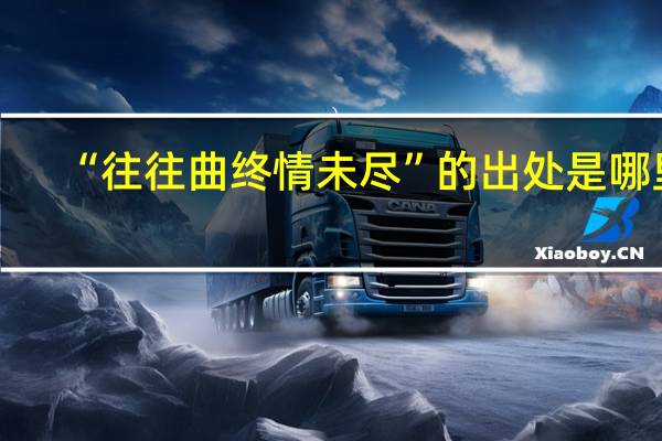 “往往曲终情未尽”的出处是哪里