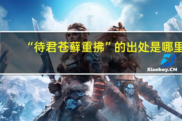 “待君苍藓重拂”的出处是哪里