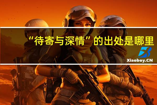 “待寄与深情”的出处是哪里