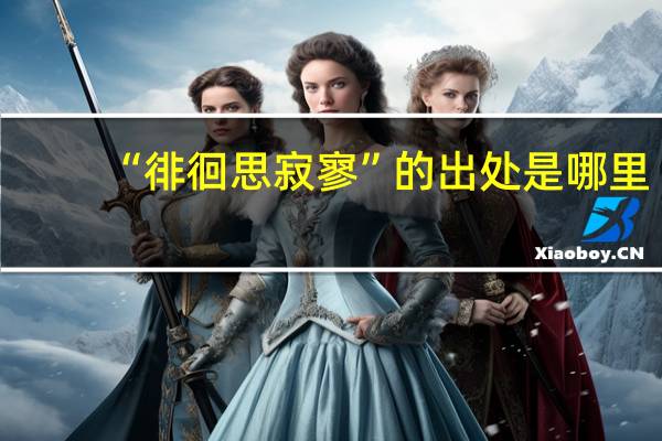 “徘徊思寂寥”的出处是哪里